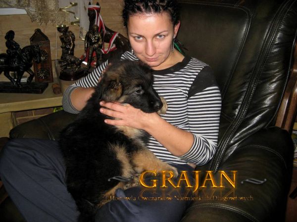 IRIA Grajan- WIETLINA(Bieszczady)